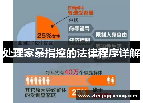 处理家暴指控的法律程序详解 处理家暴指控的法律程序详解