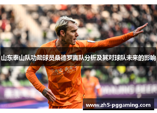 山东泰山队功勋球员桑德罗离队分析及其对球队未来的影响 山东泰山队功勋球员桑德罗离队分析及其对球队未来的影响