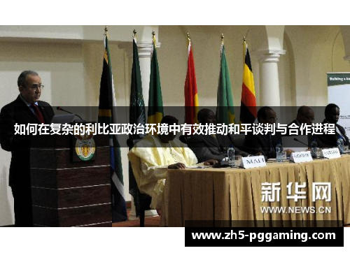 如何在复杂的利比亚政治环境中有效推动和平谈判与合作进程