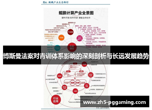 博斯曼法案对青训体系影响的深刻剖析与长远发展趋势 博斯曼法案对青训体系影响的深刻剖析与长远发展趋势