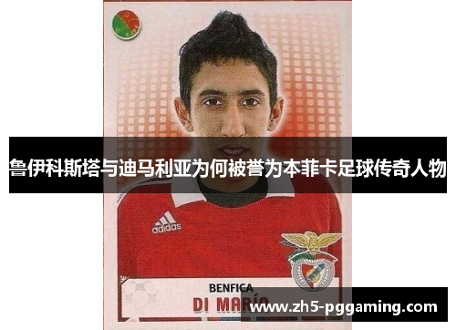 鲁伊科斯塔与迪马利亚为何被誉为本菲卡足球传奇人物 鲁伊科斯塔与迪马利亚为何被誉为本菲卡足球传奇人物