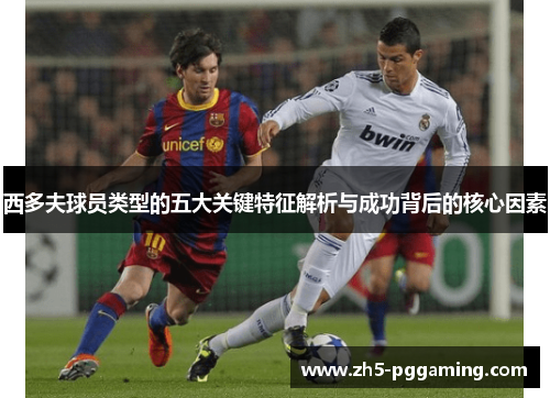 西多夫球员类型的五大关键特征解析与成功背后的核心因素