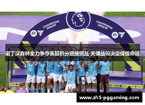 诺丁汉森林全力争夺英超积分迎接挑战 关键战役决定保级命运